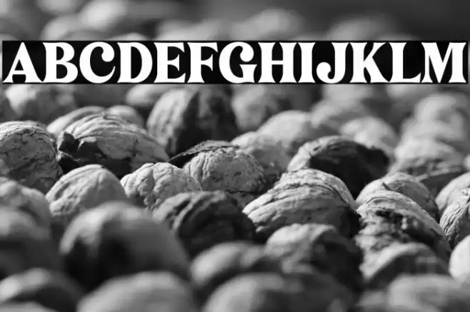 Narifah Font examples