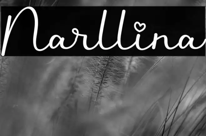 Narllina Example 2