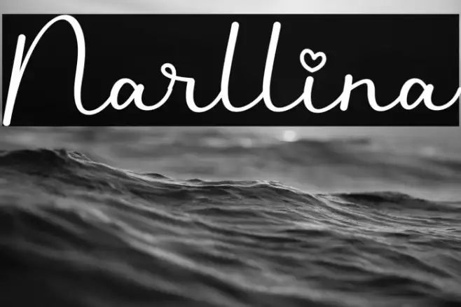 Narllina Example 3