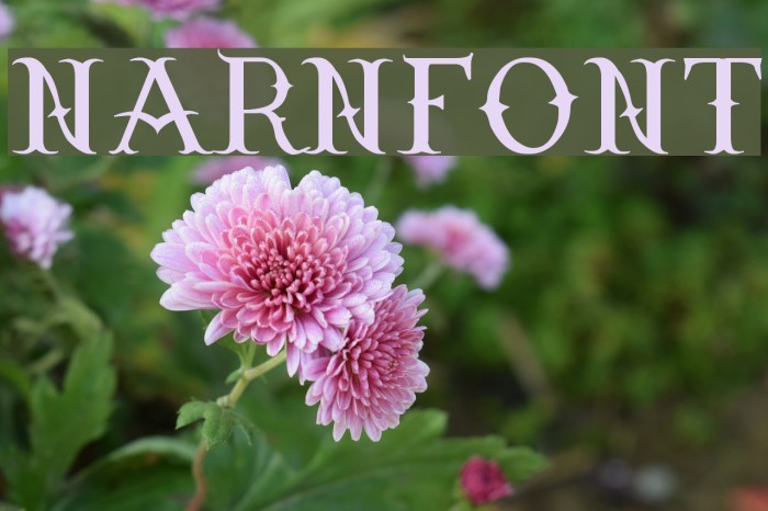 Narnfont Font examples