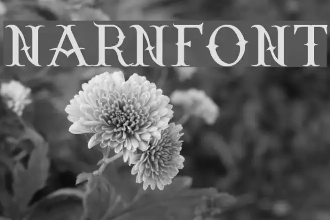 Narnfont Example 3