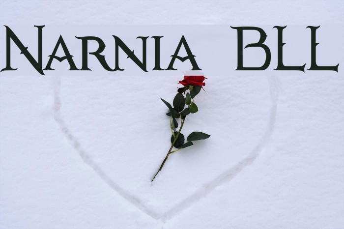Narnia BLL फ़ॉन्ट examples