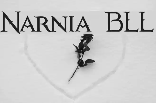 Narnia BLL Example 2