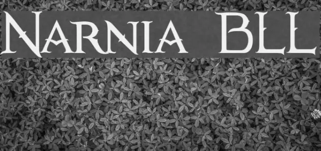 Narnia BLL Example 3