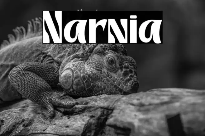 Narnia Example 2