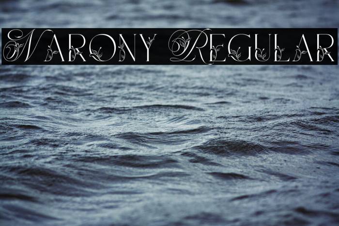 Narony Regular Example 1