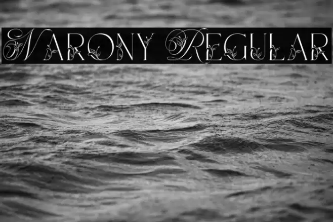 Narony Regular Font examples