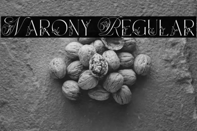 Narony Regular Font examples