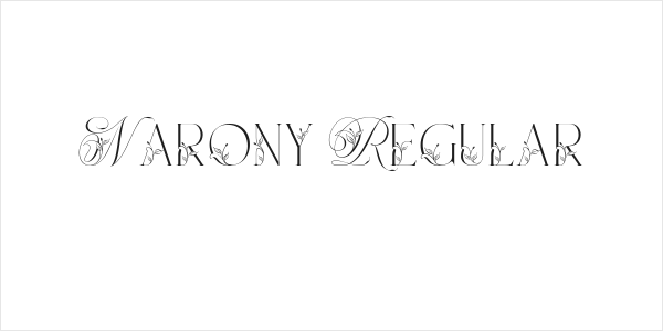 Narony Regular Logo
