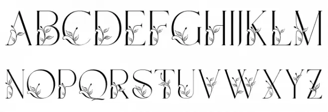 Narony Regular Font LOWERCASE