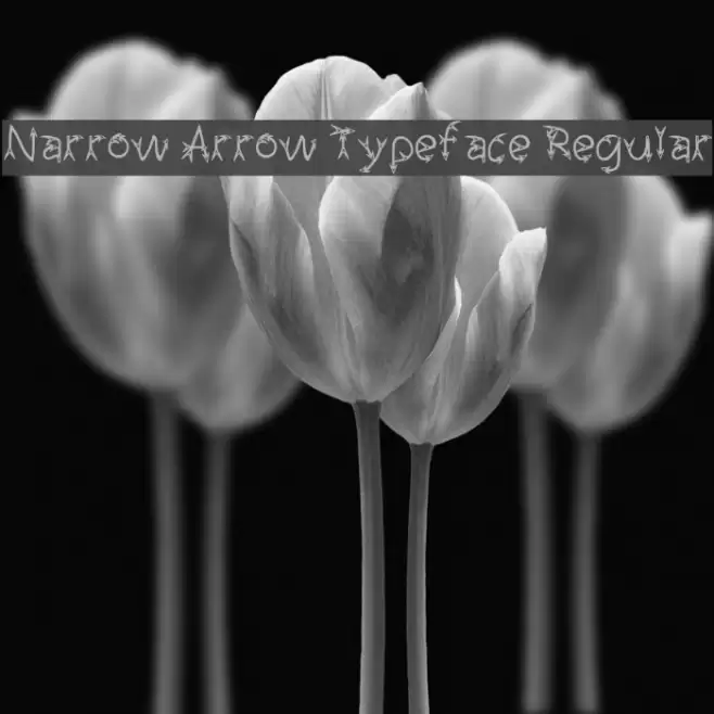 Narrow Arrow Typeface Regular フォント examples