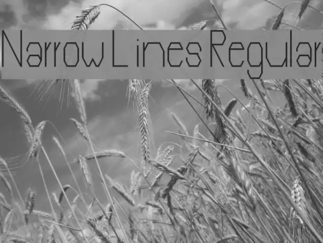 Narrow Lines Regular Font examples