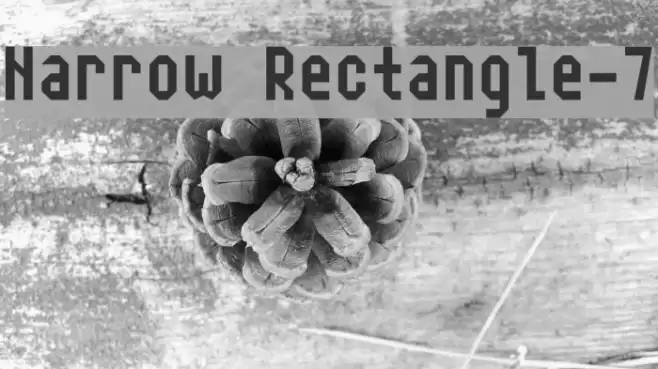 Narrow Rectangle-7 Font examples