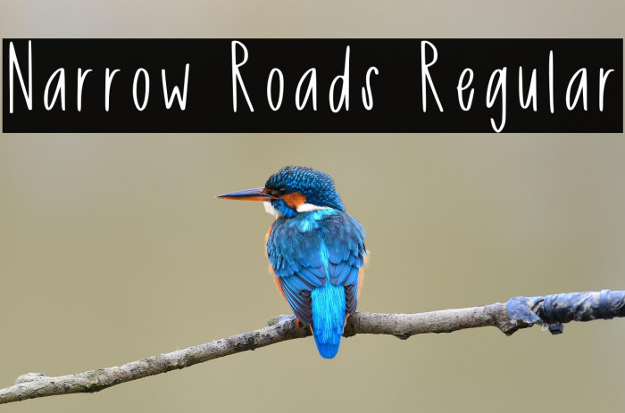 Narrow Roads Regular Example 2