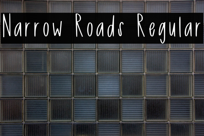 Narrow Roads Regular Example 3