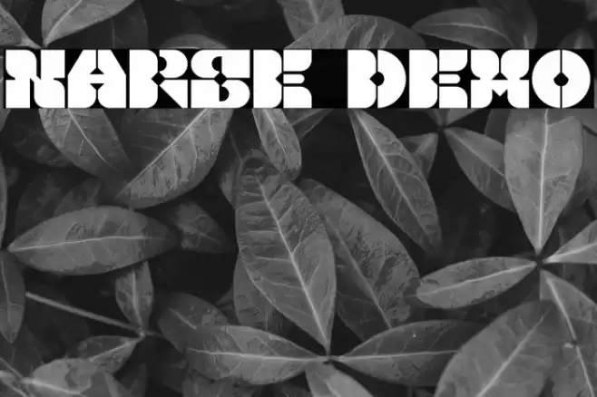 Narse Demo Font examples