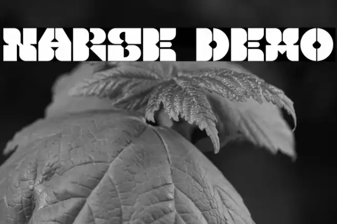 Narse Demo Font examples