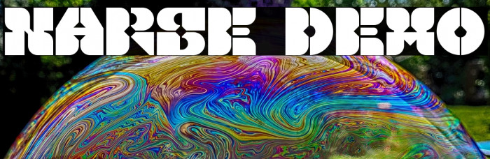 Narse Demo Example 3