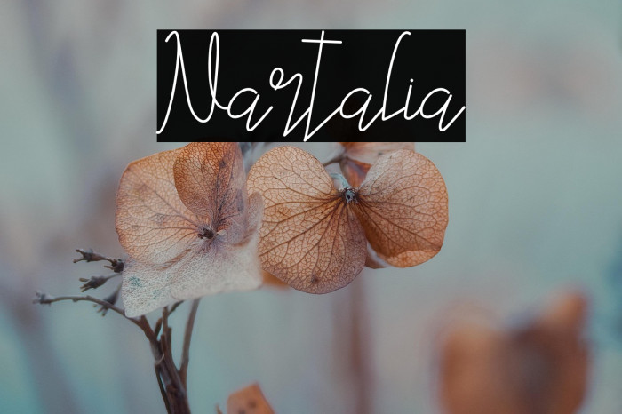 Nartalia Example 2