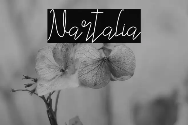 Nartalia Font examples