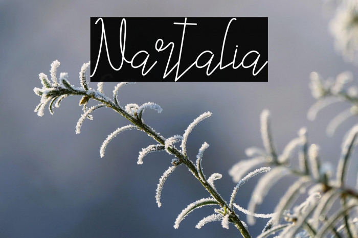 Nartalia Example 3