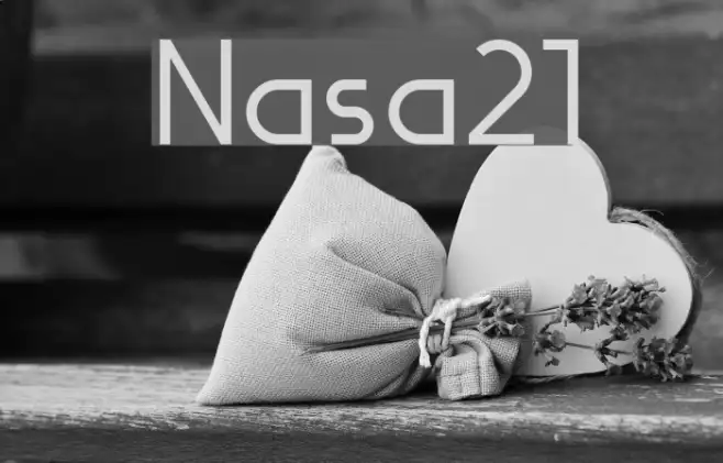 Nasa21 Example 3