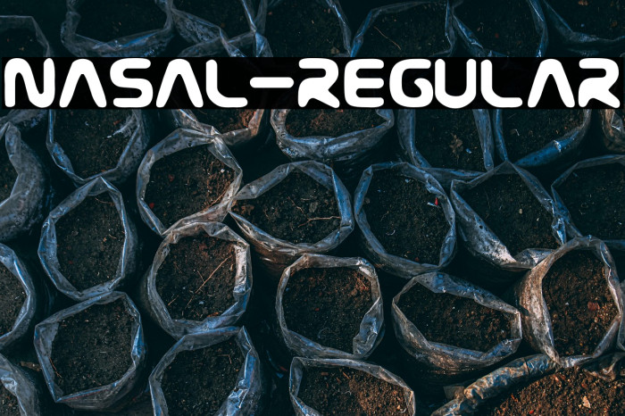 Nasal-Regular Example 1