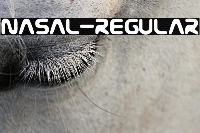 Nasal-Regular Example 2