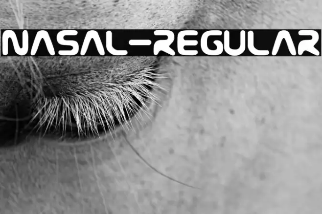 Nasal-Regular Example 2