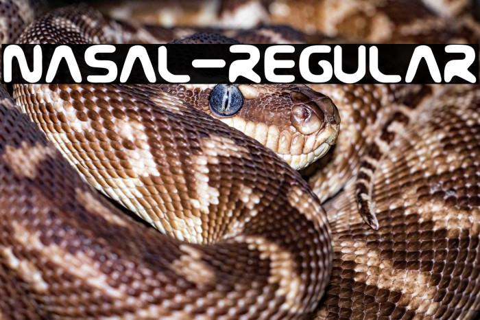 Nasal-Regular Example 3