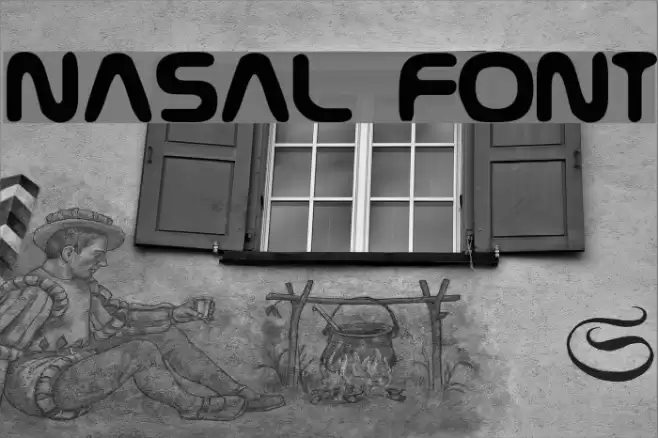 Nasal Fonte examples