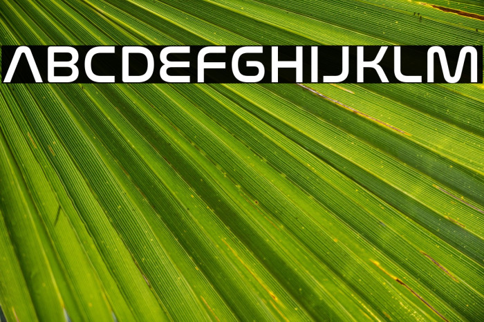 NasalizationRg-Regular Example 3