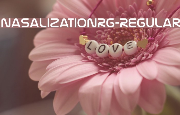 NasalizationRg-Regular Font examples