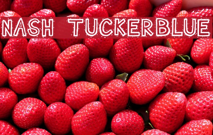 Nash TuckerBlue Font examples