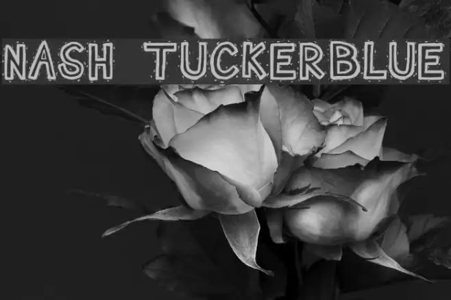 Nash TuckerBlue Font examples