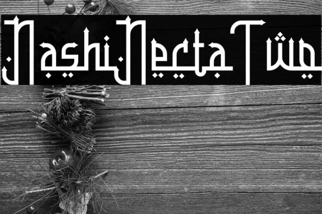 Nashir Nectar Two Example 2