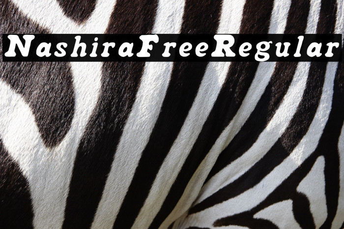 NashiraFree-Regular Example 1