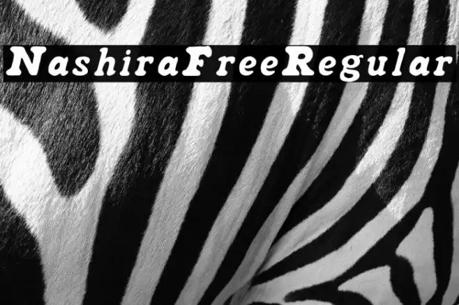 NashiraFree-Regular Example 1