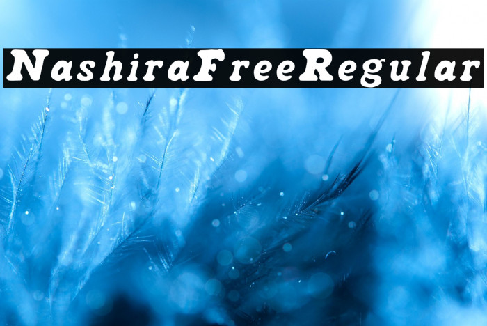 NashiraFree-Regular Example 2