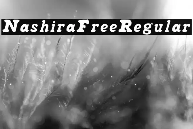 NashiraFree-Regular Example 2