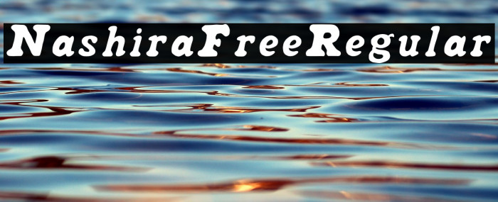 NashiraFree-Regular Example 3