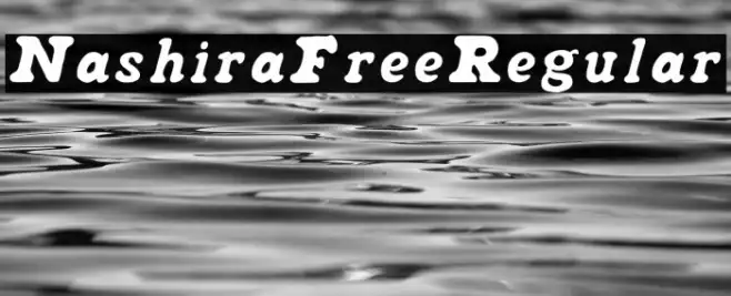 NashiraFree-Regular Example 3