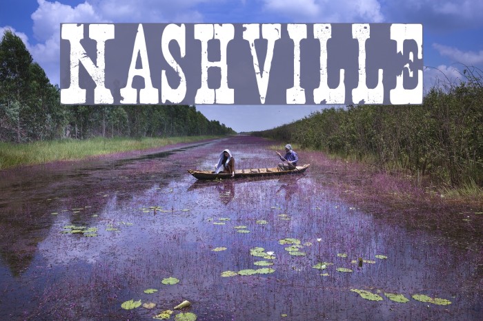 Nashville Шрифта examples