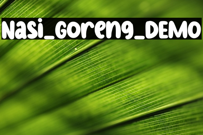 Nasi_Goreng_DEMO Example 1