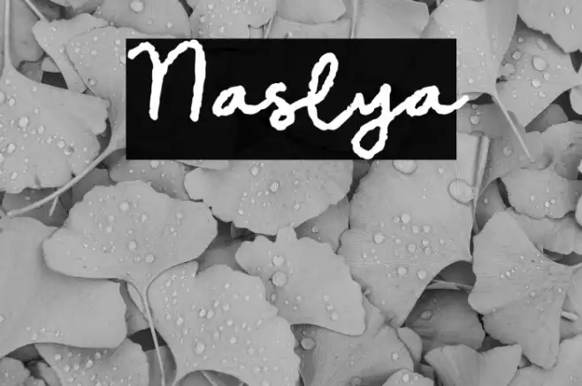 Nasilya Example 2