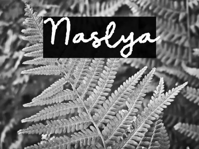 Nasilya Example 3