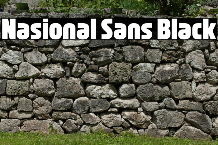 Nasional Sans Black Example 1