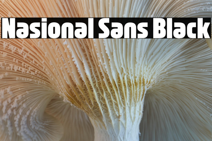 Nasional Sans Black Example 2