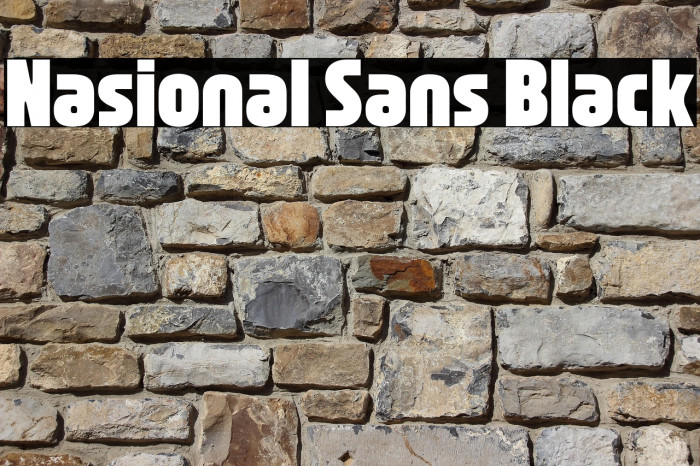 Nasional Sans Black Example 3