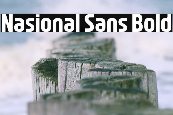 Nasional Sans Bold Example 1